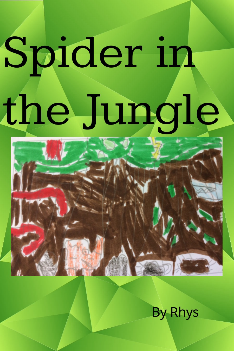 Spider in the Jungle by Rhys B