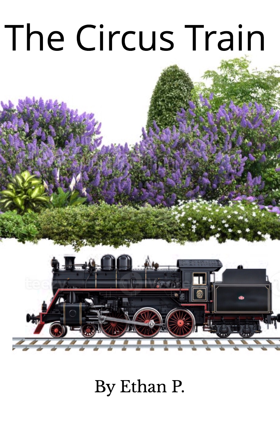 The Circus Train by Ethan P