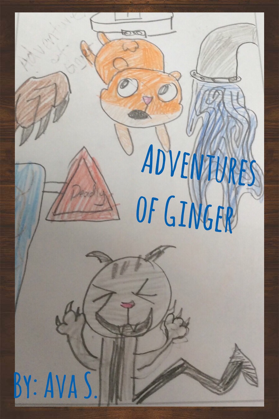 Adventures of Ginger by Ava S