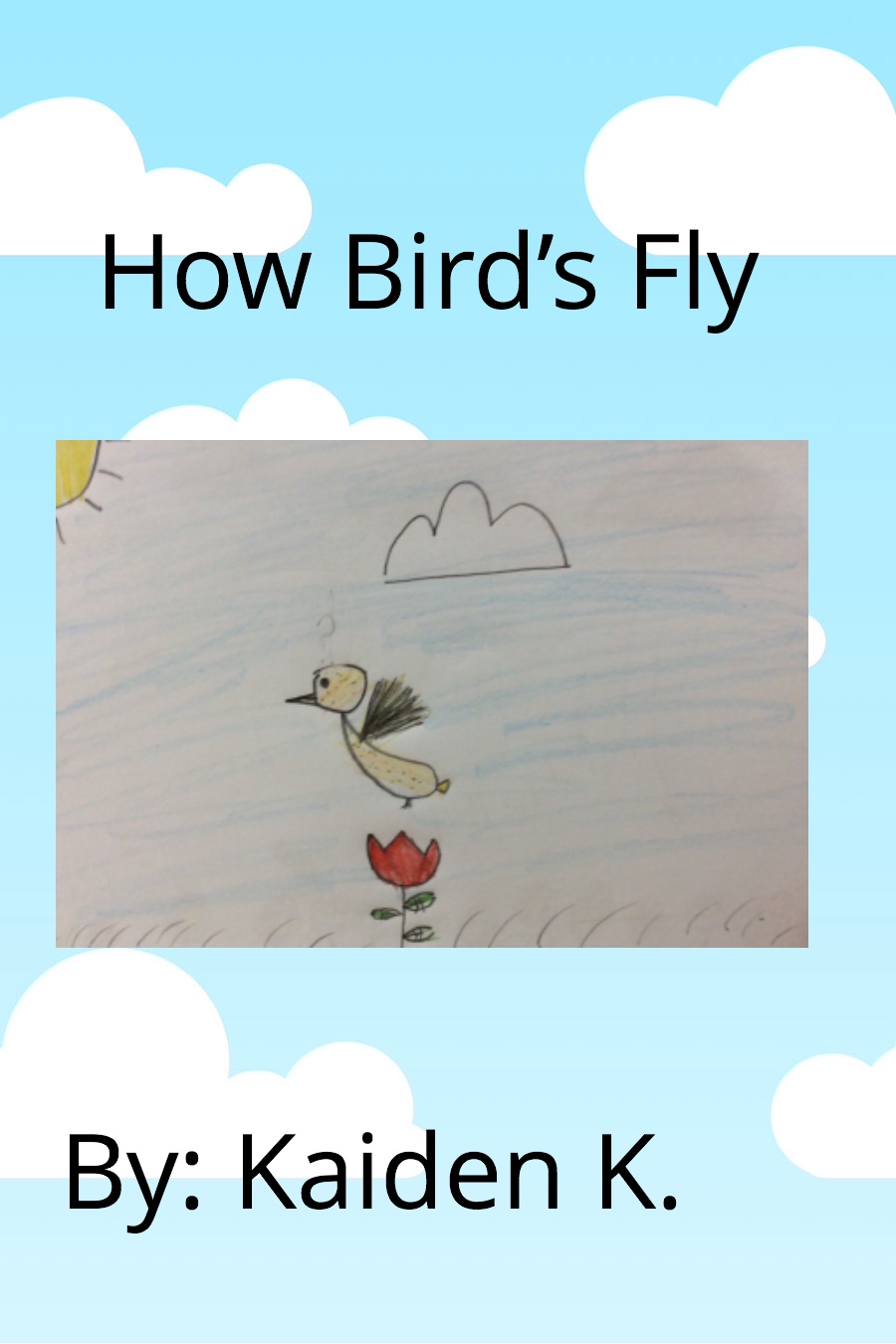 How Birds Fly By Kaiden K