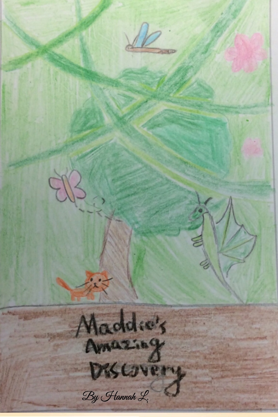 Maddie’s Amazing Discovery by Hannah L