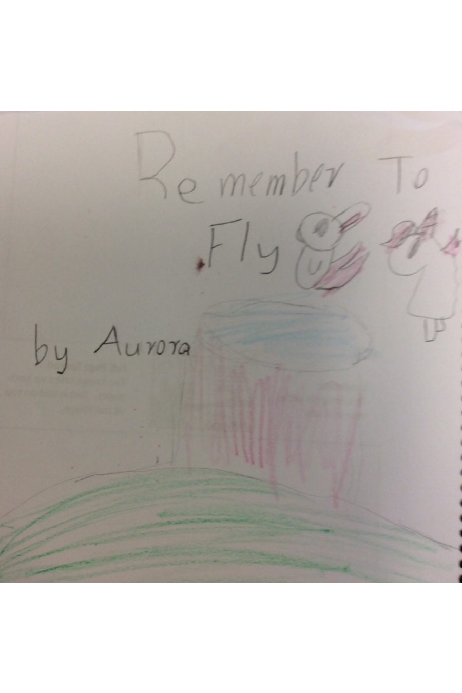 Remember to Fly by Aurora Z