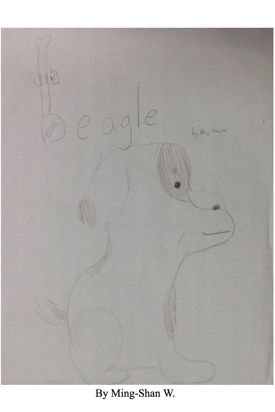 The Beagle by Ming-Shan W