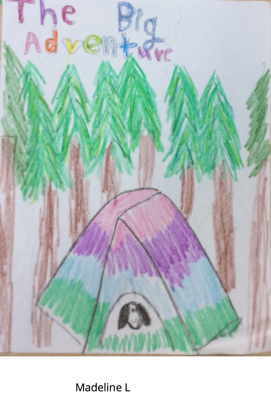 The Big Camping Trip by Madeline L
