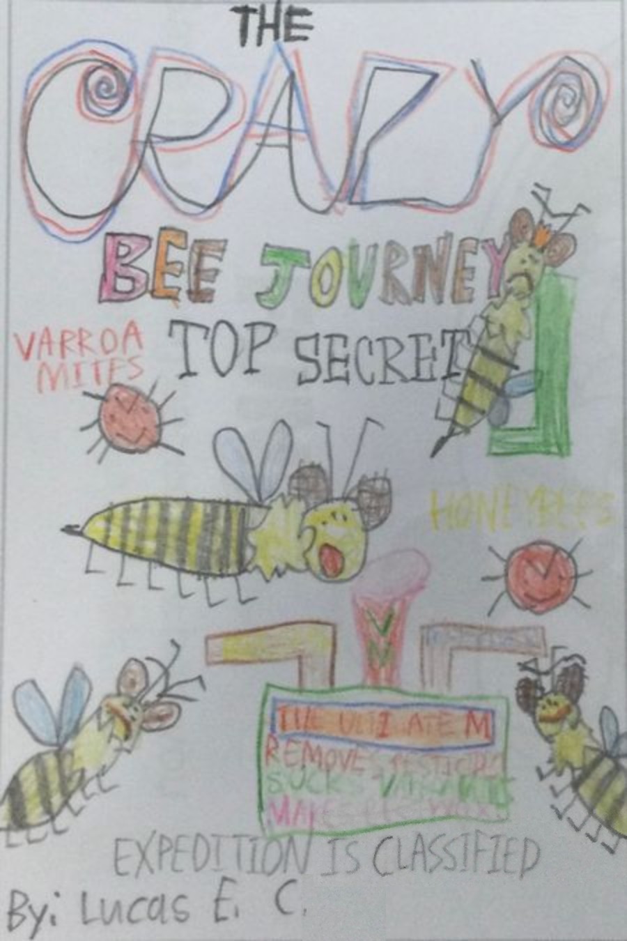 The Crazy Bee Journey by Lucas C