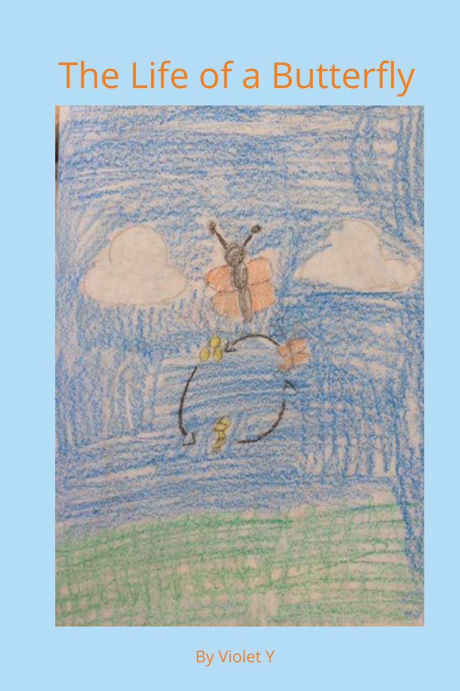 The Life of a Butterfly by Violet Y