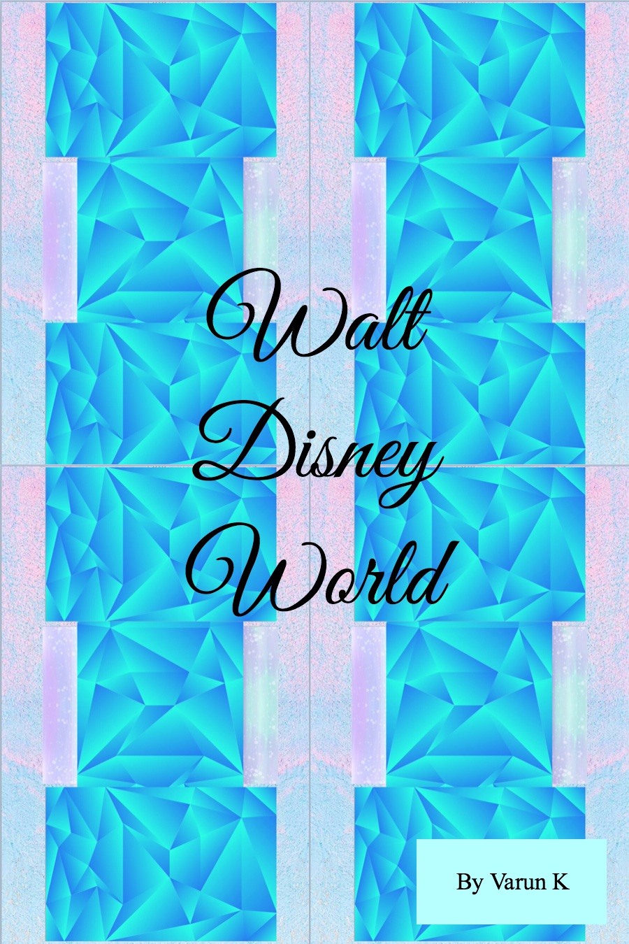 Walt Disney World by Varun K