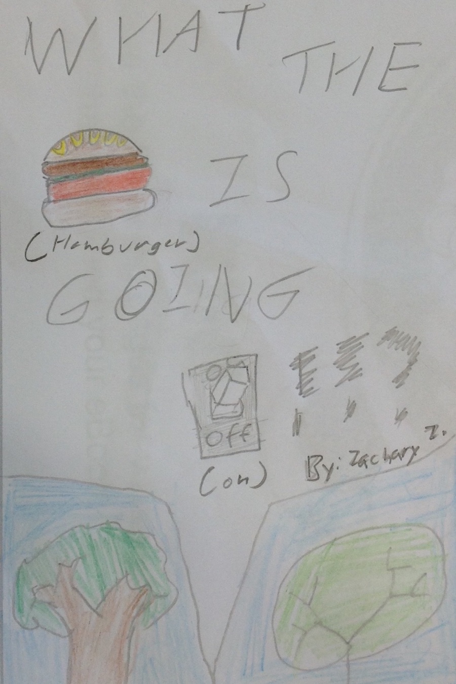 What the Hamburger is Going On!!? by Zachary Z