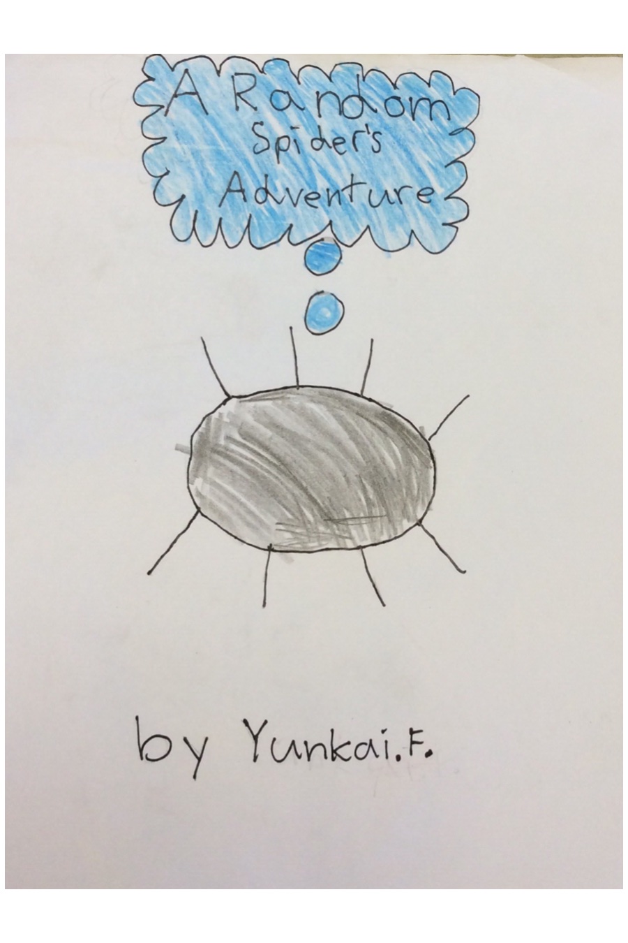 A Random Spider’s Adventure by Yunkai F