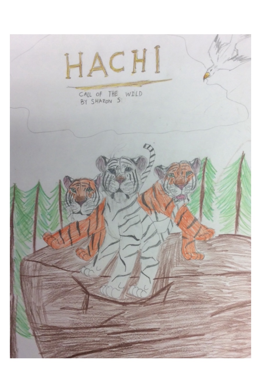 Hachi: Call of the Wild by Sharon S