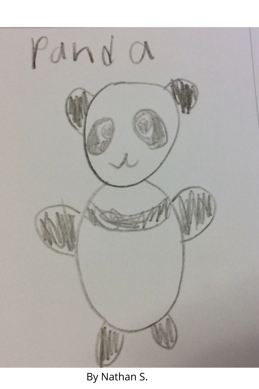 Panda by Nathan S