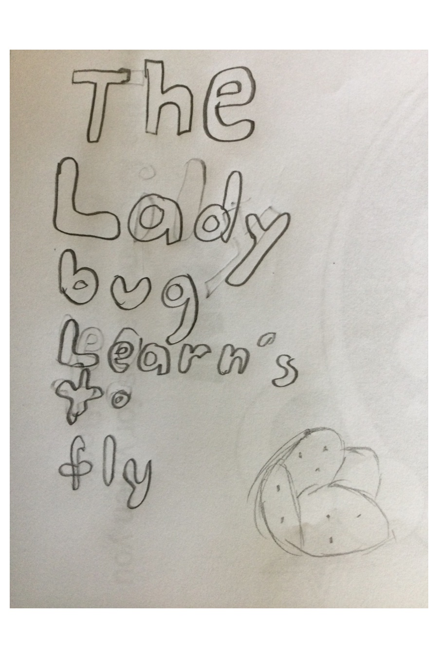 The Ladybug Learns to Fly by Haylie H