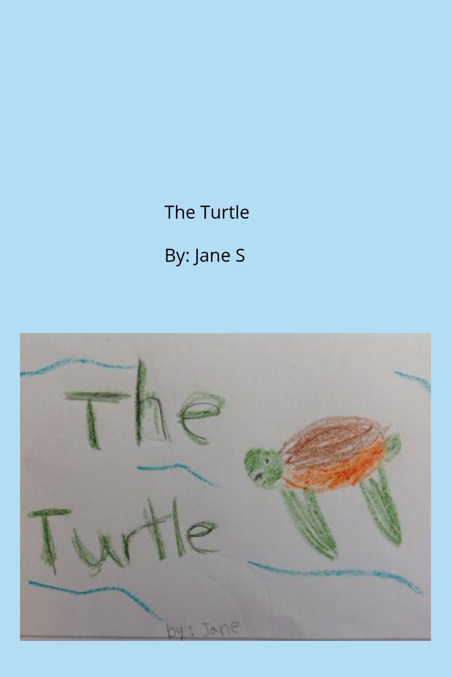 The Turtle by Jane S