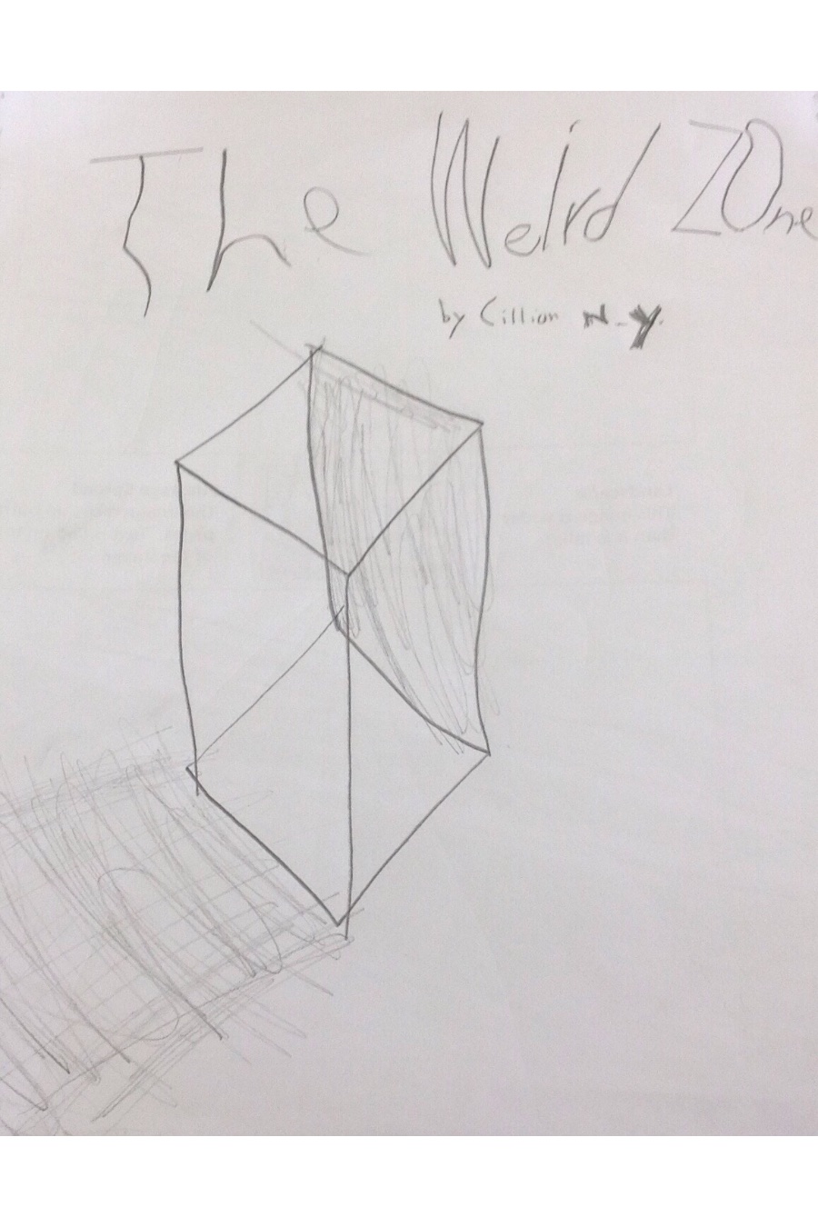 The Weird Zone by Cillian N Y