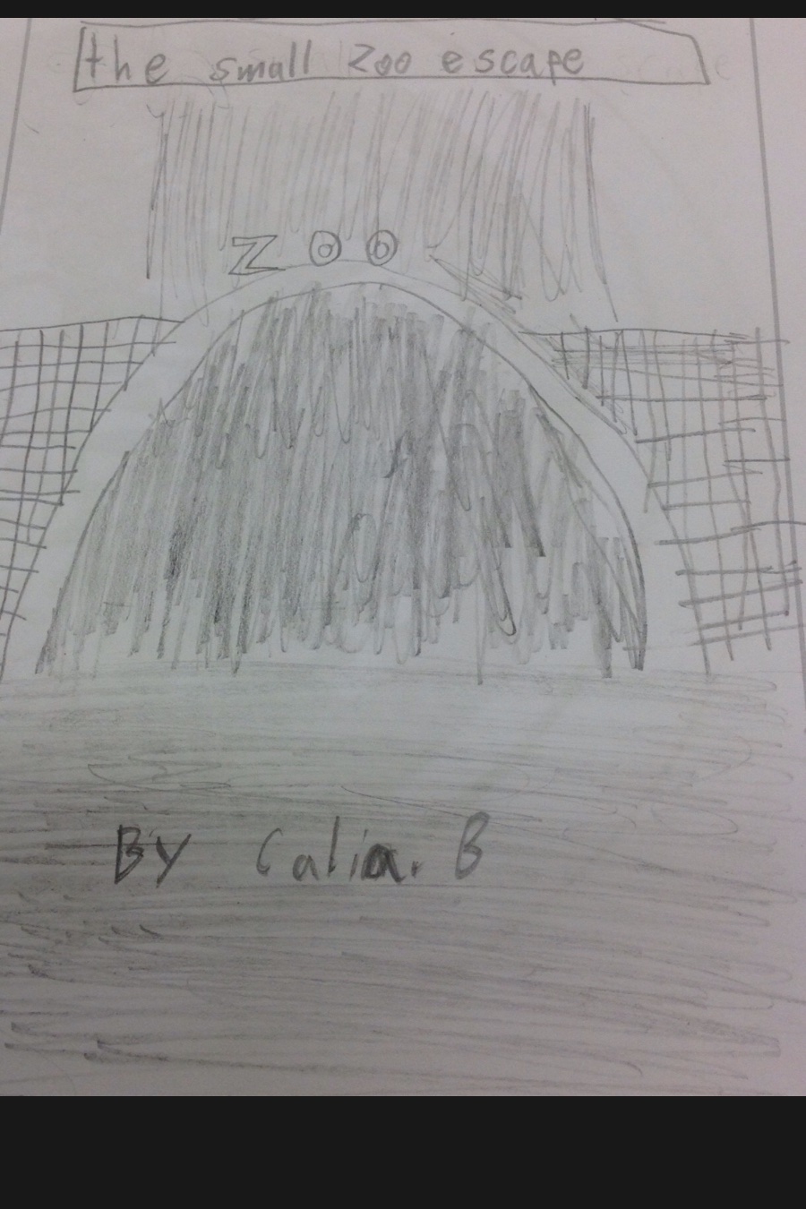 The Small Zoo Escape by Calia B