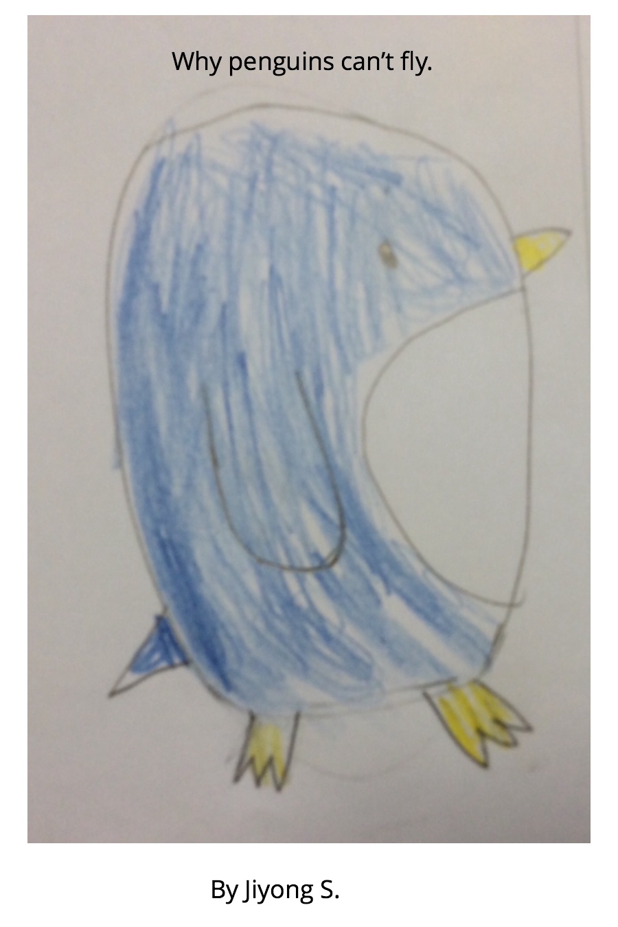 Why Penguins Can’t Fly by Jiyong S